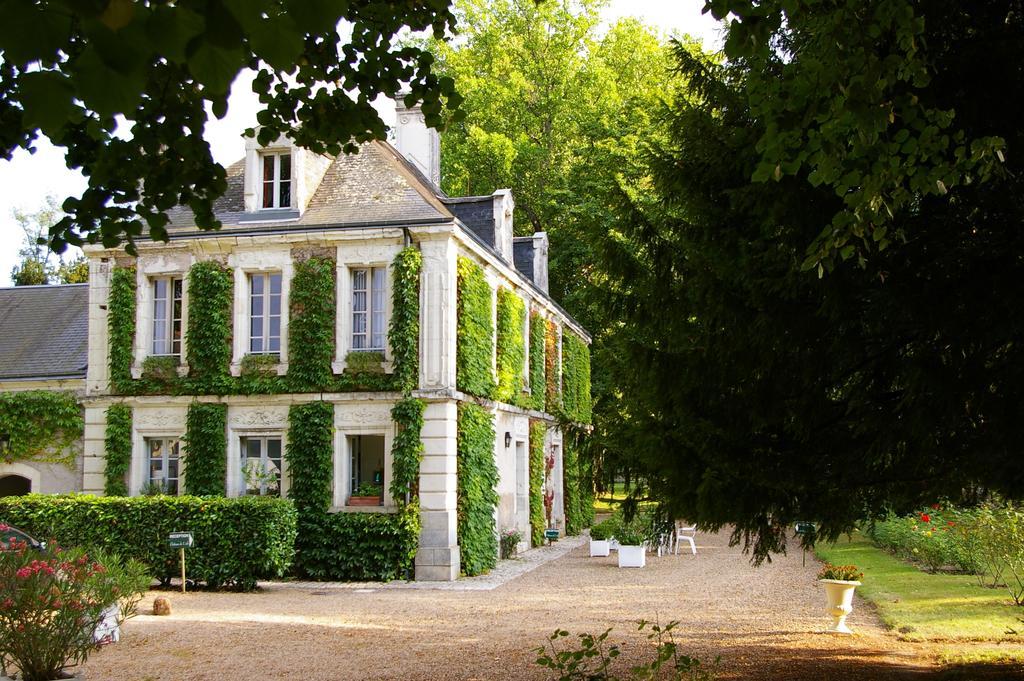 Hostellerie Du Chateau De L'Isle La Croix-en-Touraine Bilik gambar